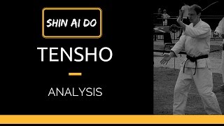 Tensho Kata Analysis [upl. by Noinatrad]