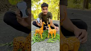 Rc Remote Control Two Giraffe 🦒 vs Deer ki testing 😜 [upl. by Avika579]