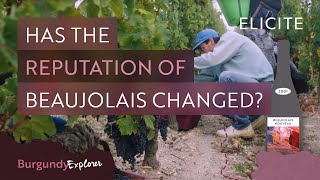 What is Beaujolais Wine Breaking Down The Region [upl. by Sucramat]