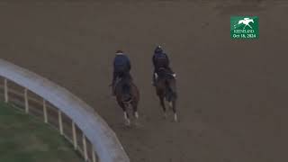 Kilwin outside Works at Keeneland  October 18 2024 [upl. by Erdnaed57]