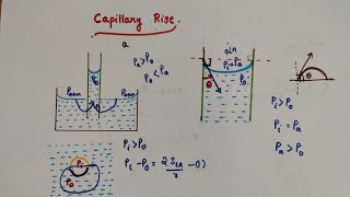 Capillary Rise  Class 11Physics  Chapter 10 Mechanical properties of fluids [upl. by Lupiv]