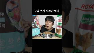 7일간 개 사료만 먹어보기 [upl. by Onirefes]