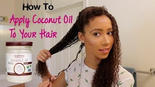 🌺💧 DIY Natural Hair Conditioner for Dry amp Dull Hair  Hibiscus amp Coconut Milk 🌺💧 [upl. by Juliann675]