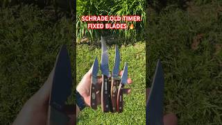 I LOVE SCHRADE OLD TIMER FIXED BLADES 🔥⚔️🔥 youtubeshorts knife edc [upl. by Yboc]