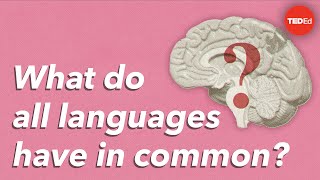 What do all languages have in common  Cameron Morin [upl. by Dorelle]