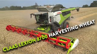 4Kᵁᴴᴰ 2024 Claas Lexion 8700 with V1230 Vario header cutting wheat in Suffolk [upl. by Aehcim]