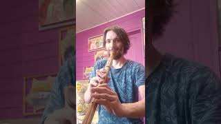 Quenacho C key ashwood  flute for sale [upl. by Adriel]