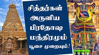 Prathosam Valipadu Murai in Tamil  Prathosam Valipadu  சித்தர்கள் அருளிய பிரதோஷ மந்திரம் 🙏🏻 [upl. by Nirred]