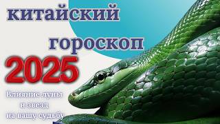 Китайский гороскоп на 2025 год по году рождения [upl. by Ajim]