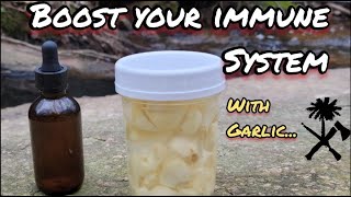 Herbal Medicine Garlic Making a Tincture [upl. by Iatnahs]