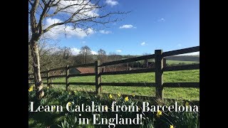 Learn Catalan language Catalan conversation intermediate [upl. by Merna]