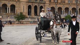 Carruajes en la plaza de España [upl. by Paloma]