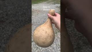 How I Make Gourd Bottles bottlegourd outdoorskills ancienttools survivalskills bushcraft water [upl. by Natka]