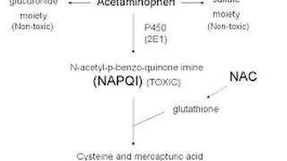 Acetaminophen Toxicity  Poisoning [upl. by Hplodnar]