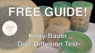 Disc Diffusion Guide [upl. by Swanson]