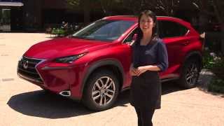 2015 Lexus NX Interior Features Walk Around  Lexus [upl. by Paton]