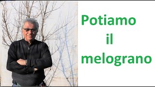 Potiamo il melograno [upl. by Gitt]