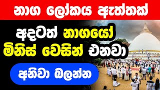 නාග ලෝකයෙන් කැලණියට වැඩි ධාතූන් සහ මිනිස් වෙසින් එන නාගයෝ Naga Lokaya Kelani Viharaya Temple [upl. by Munafo499]