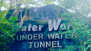 Water World Kelaniya🪼🐠 Mini Vlog River safari🚤 [upl. by Koller708]