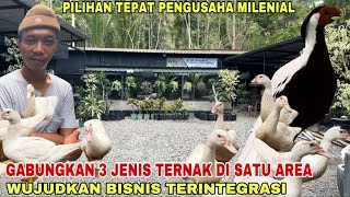 INSPIRASI BISNIS UNIK KOMBINASIKAN TERNAK ENTOK AYAM DAN TANAMAN HIAS [upl. by Valeria]