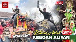 Ritual Adat Keboan Aliyan Banyuwangi 2023 [upl. by Brendin]