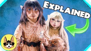 The Dark Crystal Explained  What Made the Crystal Dark The Fangirl [upl. by Persian]