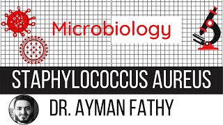 Staphylococcus aureus USMLE Step 1 Microbiology  Dr Ayman Fathy [upl. by Sivam]