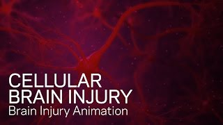 Cellular Brain Injury  Medical Animation [upl. by Arim]