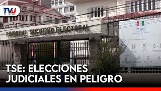 TSE ADVIERTE QUE ELECCIONES JUDICIALES ESTÁN EN RIESGO POR AMPAROS LEGALES [upl. by Travis]