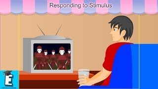 Responding to Stimulus Learn for Children and Kids  EDUKID Learning [upl. by Rebba]