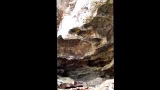 💥 Civil War 💥 Bean Cave overlooking the White River 🏞️ in Marion County Arkansas [upl. by Rizzo]