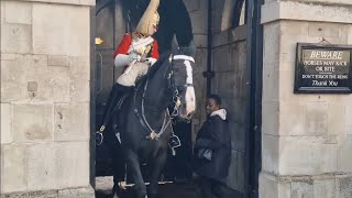 GET OUT tourist walks right in to the horse box horseguardsparade [upl. by Ruthven]