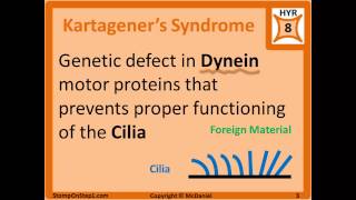 ChediakHigashi Syndrome ICell Disease Kartageners Microtubules Inclusion Cell Disease [upl. by Ajiak288]