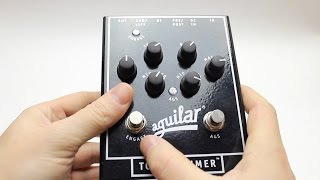 Aguilar Tone Hammer Review [upl. by Weinstock]