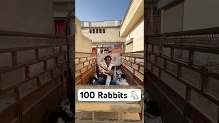 100 Rabbits P1 shorts shortvideo viral rescue rabbits pets [upl. by Evangelia]