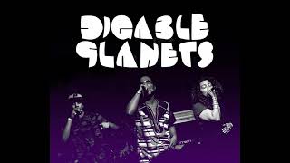 DIGABLE PLANETS  COOL LIKE DAT INSTRUMENTAL PICK299 VINYL HQ [upl. by Nuawd]