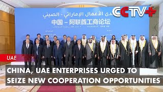 China UAE Enterprises Urged to Seize New Cooperation Opportunities [upl. by Aken]