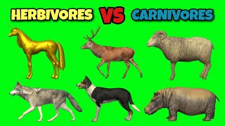 Herbivores Vs Carnivores Animals Green Screen  Animals Stampede Video  Animals Running [upl. by Ayn]