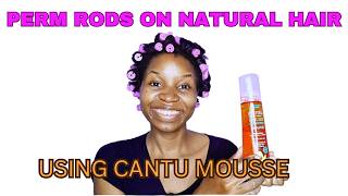 JawDropping Cantu Mousse Perm Rods  Perm Rods on Natural Hair  Cantu Mousse Review naturalhair [upl. by Mariko]