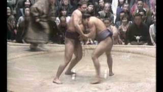 Chiyonofuji vs Wakanohana  Haru 1980 千代の富士 対 若乃花 [upl. by Nilloc]