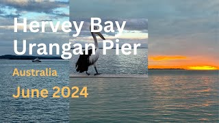 Hervey Bay  Urangan Pier  Queensland  Australia 4K [upl. by Ardnuahsal]