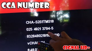 How To Check Your CCA Number In Cignal Settings  CCA Number Retrieval Tips And Tricks [upl. by Nonnad748]