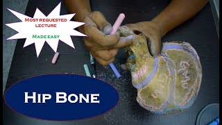 Anatomy of Hip bone  Simplified and made easy  Simplified amp made easy for beginners [upl. by Mareld]