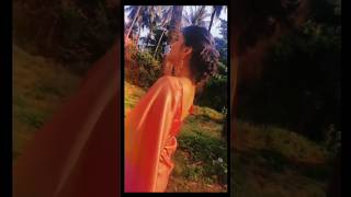 zubeidaa❤️shorts youtubeshorts shorts karishmakapoor zubeidaa hindisong evergreenhits [upl. by Yssac]