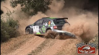 Rallye Terre de Lozère 2017 CRASH [upl. by Nolahp]