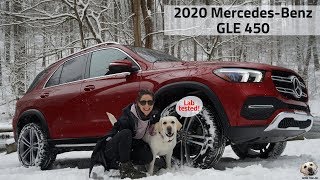 2020 MercedesBenz GLE 450 Andie the Lab Review MercedesBenz LabTested allkindsofstrength [upl. by Omlesna]