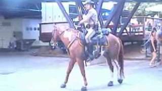 Dancing police horse riden by Lloyd Douglas [upl. by Hutchinson39]