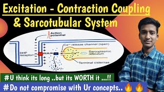 Sarcotubular System ExcitationContraction Coupling Nerve Muscle Physiology  hindi  Ashish [upl. by Melvena]