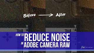 Noise Reduction in Adobe Camera Raw [upl. by Heffron]