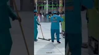 World Best Job Masjid Al Haram Cleaning shortvideo [upl. by Ahselrak95]